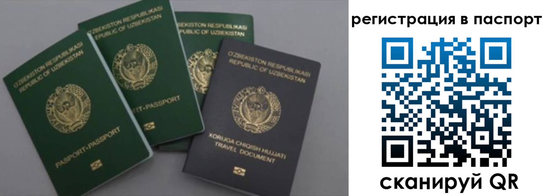 прописка от собственника в Сольцах